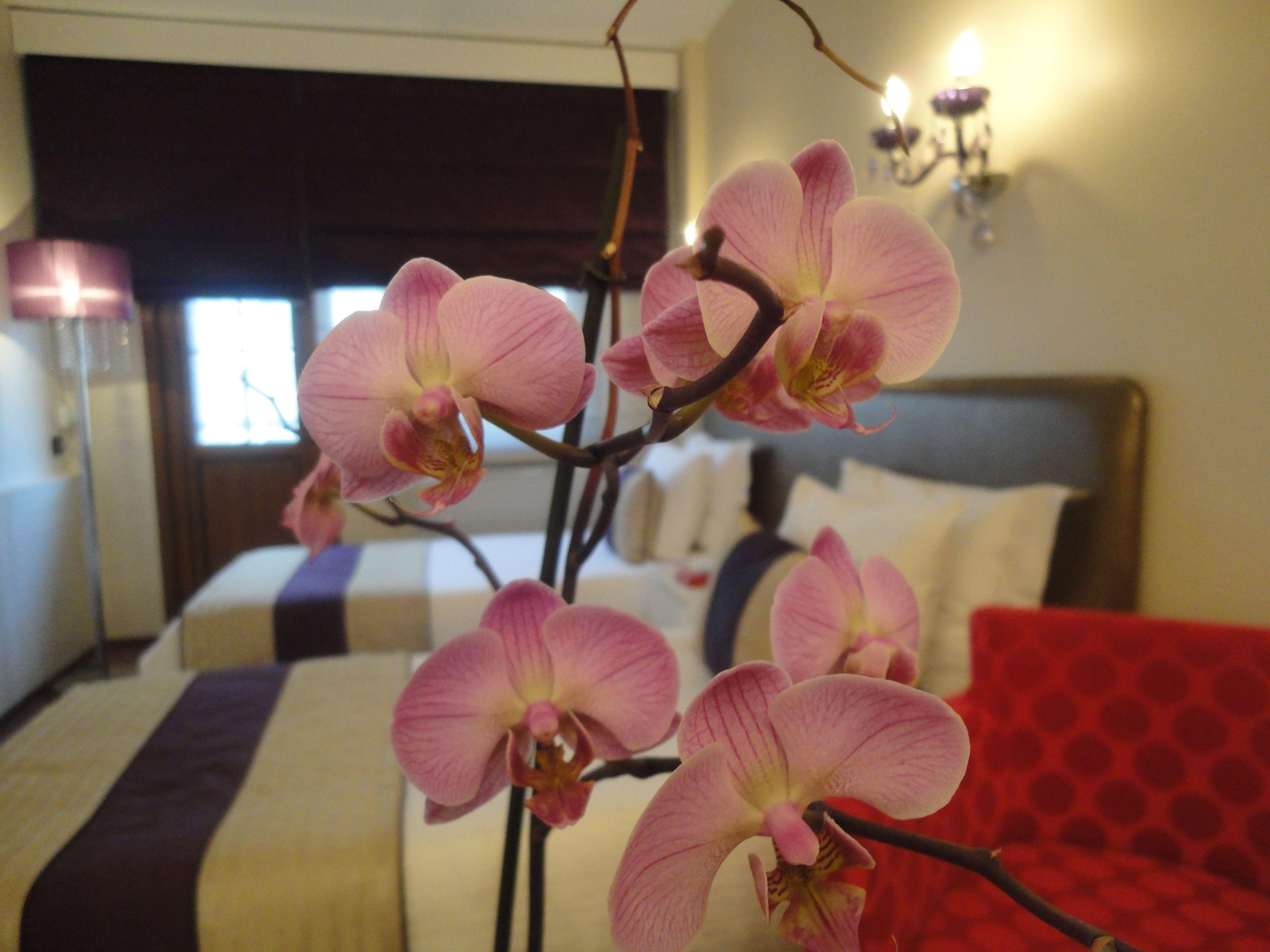 Bakirkoy Tashan Business & Airport Hotel — Fotoğraflar 3